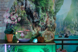 Paradise Filmstill
Fotografie Josefa Schundau 